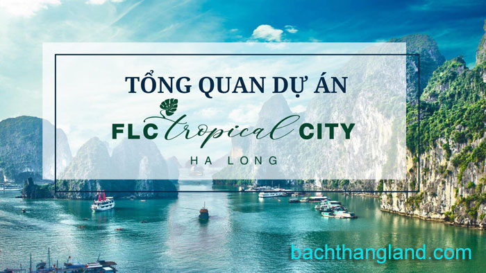 FLC hà khánh tropical city
